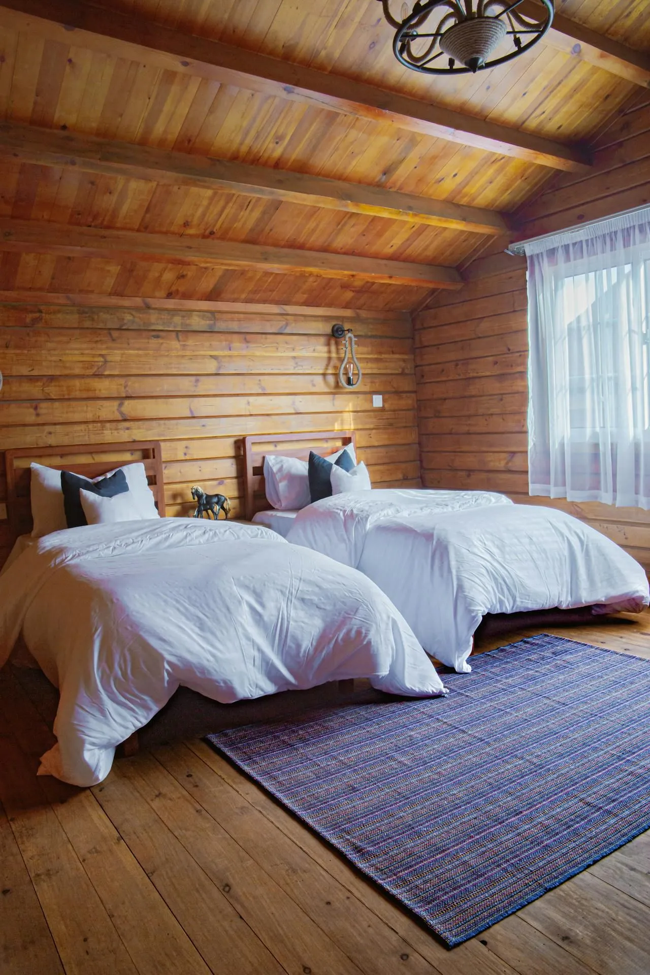 Bed Bugs and Pets: Risks and Protection