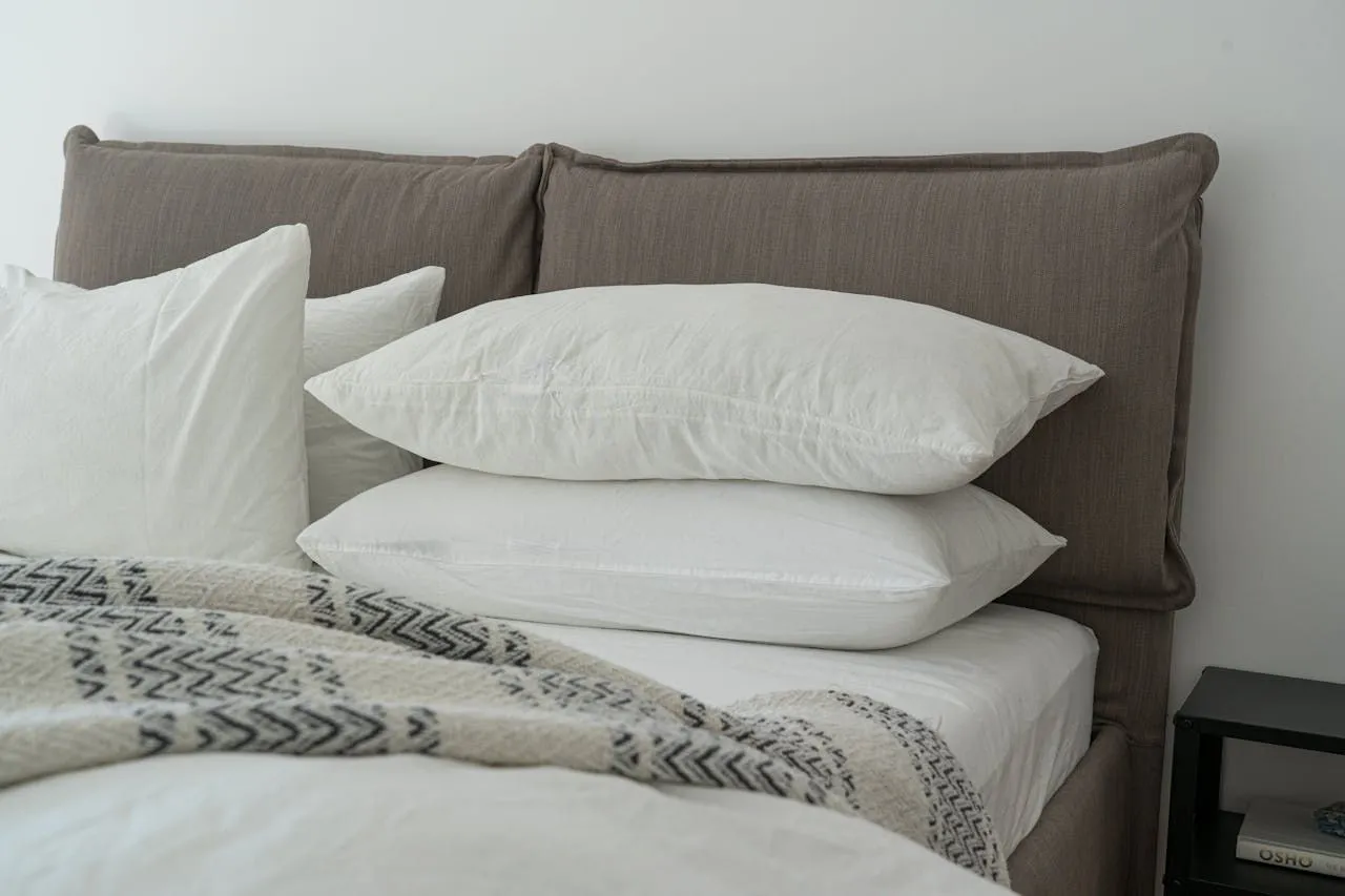 Dealing With Bed Bugs in an Apartment