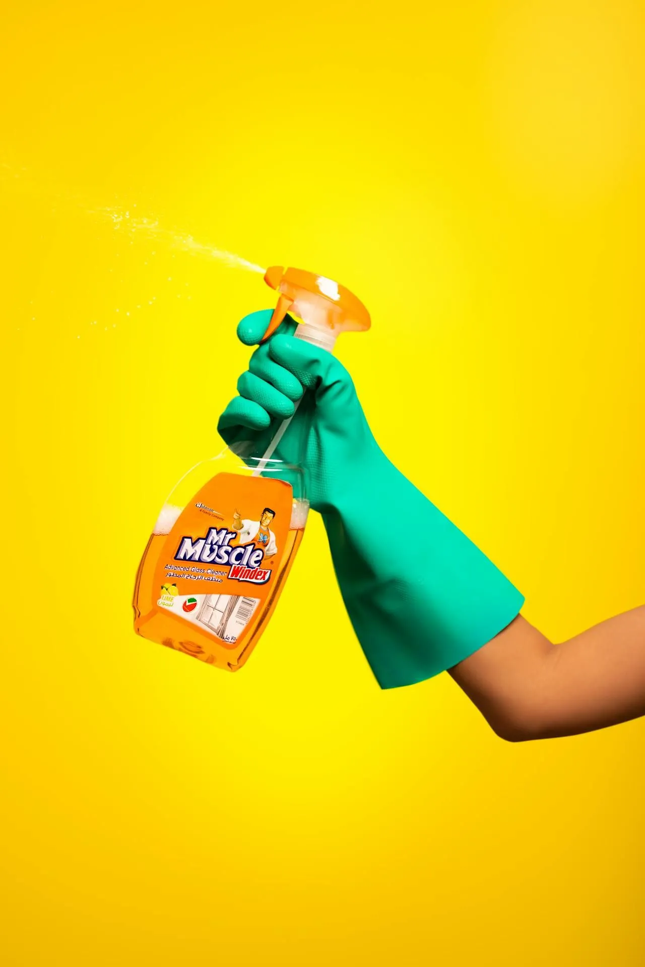 Cockroach Feces: Allergens, Asthma, and Cleanup
